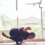 triyudha26